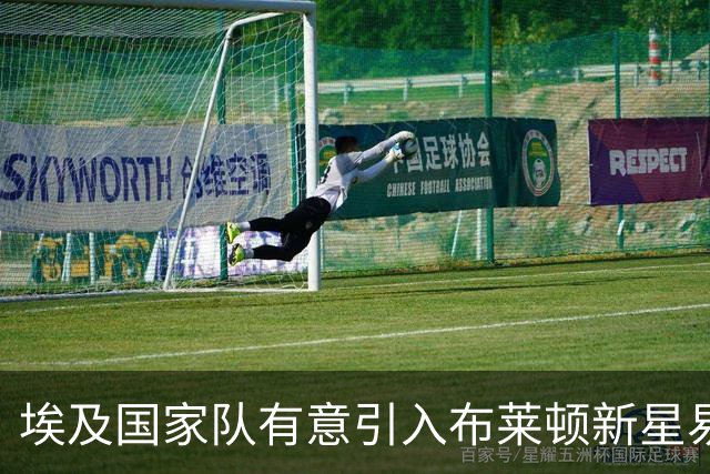 埃及国家队有意引入布莱顿新星易卜拉欣-奥斯曼